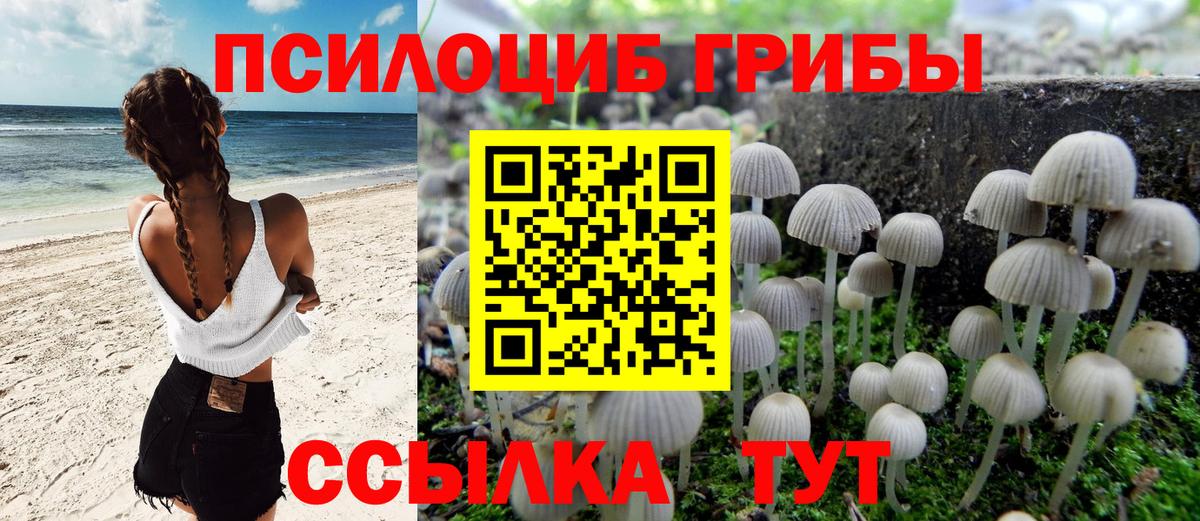 Псилоцибиновые грибы мицелий Салехард