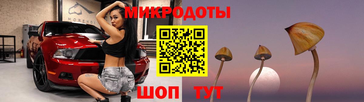 Салехард  Псилоцибиновые грибы Psilocybe  Вход с VPN 